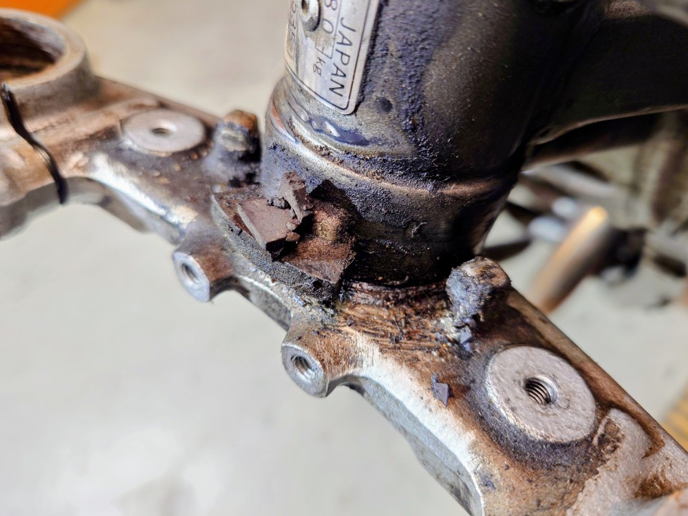 [Bild: SRX600-2031_2026-01-10_0.jpg]