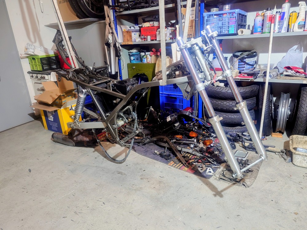 [Bild: SRX600-2031_2026-01-13_0.jpg]